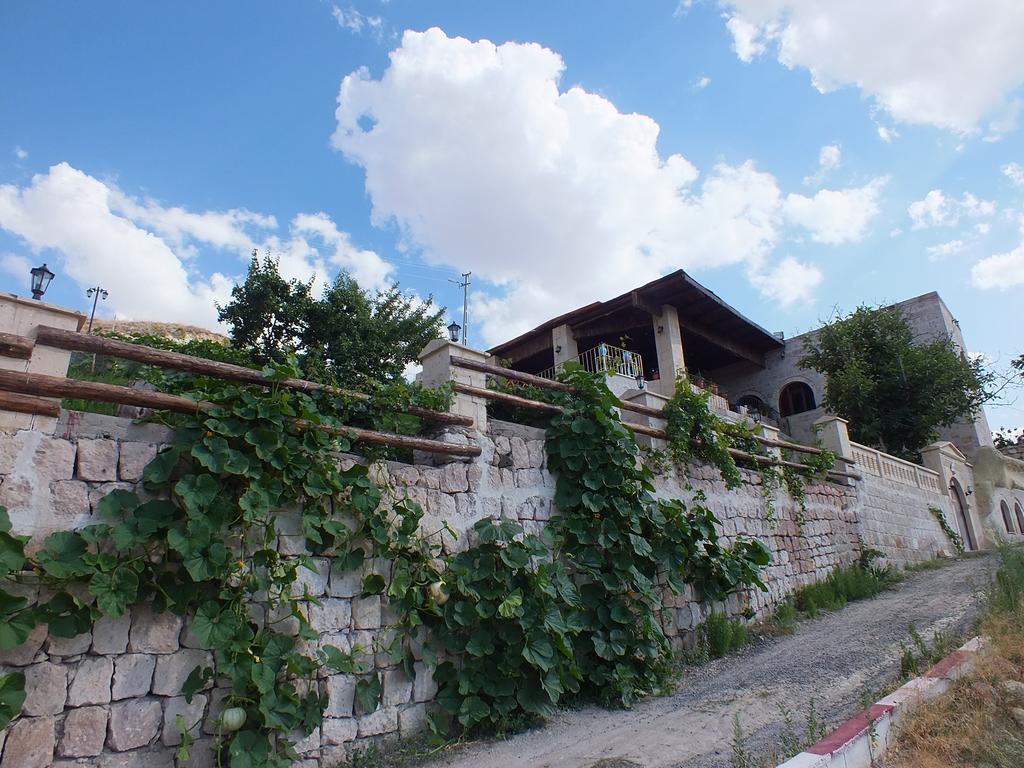 Dilek Tepesi Cave Hotel Ayvali Extérieur photo