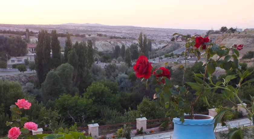 Dilek Tepesi Cave Hotel Ayvali Extérieur photo